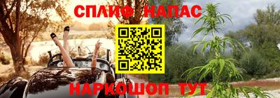 a pvp Кимры