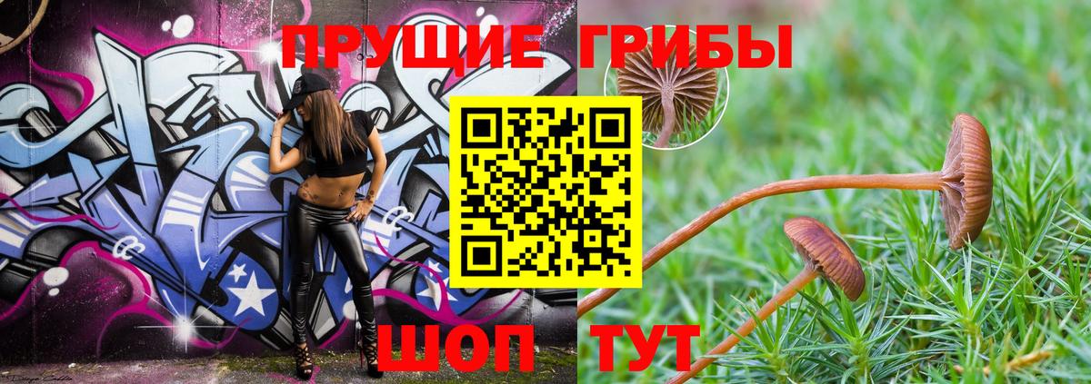 Псилоцибиновые грибы Cubensis  Вход с VPN  Киреевск 