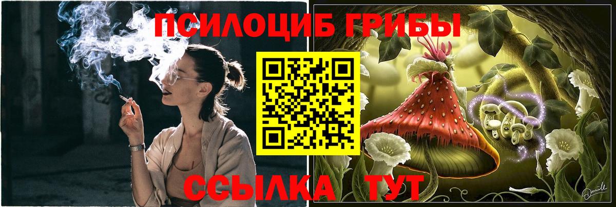 Галлюциногенные грибы мухоморы Киреевск